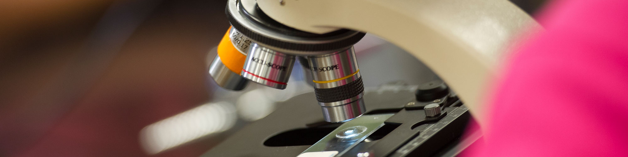University Transfer in Science