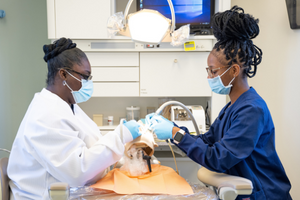 Dental assisting instructor and student working on lab activity